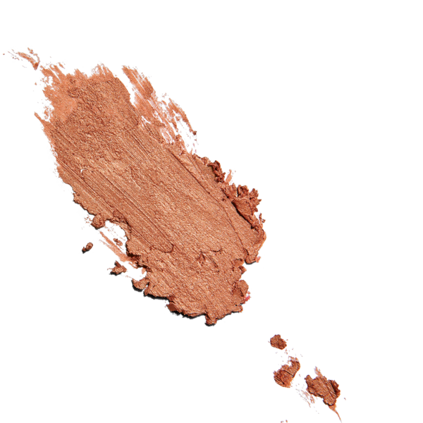 Sunforgettable Total Protection Color Balm SPF 50